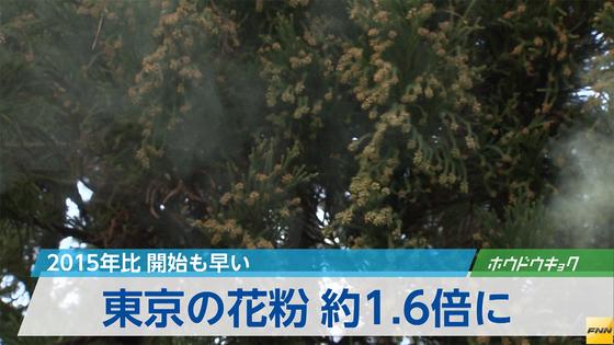 東京の花粉、今年は多め…多摩部は昨年の2倍