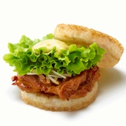 「蚊との戦争」を宣言 ブラジル大統領