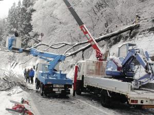 雪で１４６人孤立状態…長野、倒木が道を塞ぐ 2016年01月30日 14時22分