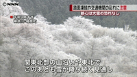 都心は大雪のおそれなし 路面凍結など注意