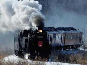 白い煙噴き上げ、雪原を疾走 釧路湿原でＳＬ運行始まる