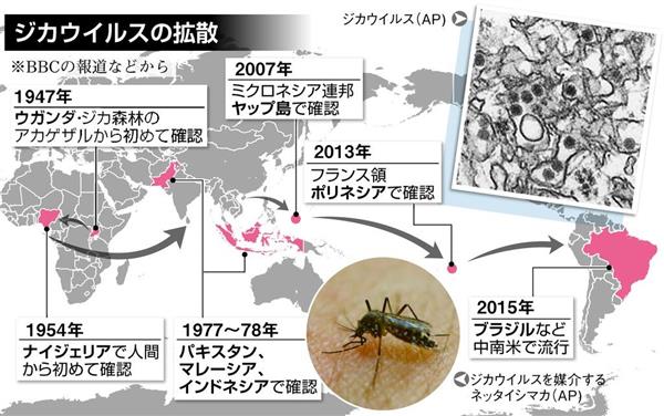 【ジカ熱】中南米で最大４００万人感染恐れ ブラジル大統領「蚊との戦争宣言」 欧州にも拡散