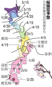 桜開花予想、東北は早めの見通し 九州や四国は遅め