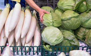 政府、税制改正法案を国会に提出 軽減税率の線引き論戦へ