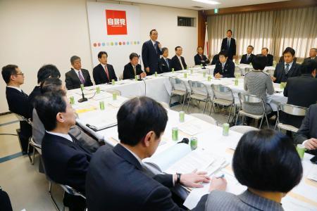 定数削減、２０年以降に実行＝野党「先送り」と批判－自民