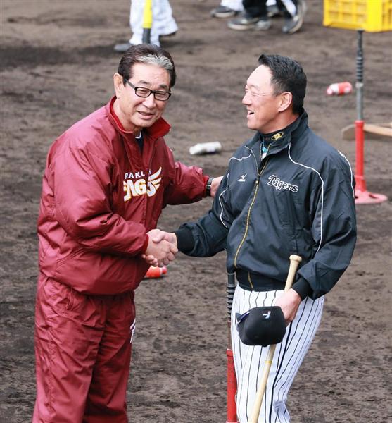 阪神金本監督初陣飾る オコエ適時打／練習試合詳細