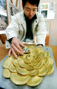 金箔瓦の破片発見、濃姫御殿か 岐阜城の織田信長居館跡