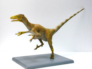 福井で発見の恐竜化石は新種 現代の鳥類並みの聴力
