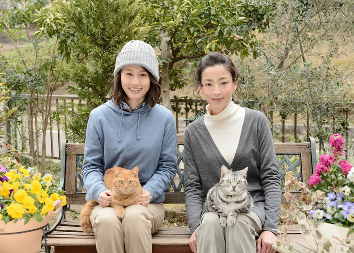 前田敦子が宮沢りえのアシスタント役に、ドラマ「グーグーだって猫である」続編出演