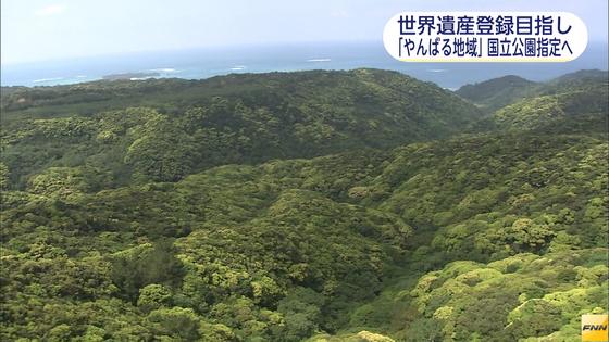 環境省、沖縄「やんばる地域」を国立公園に指定する方針