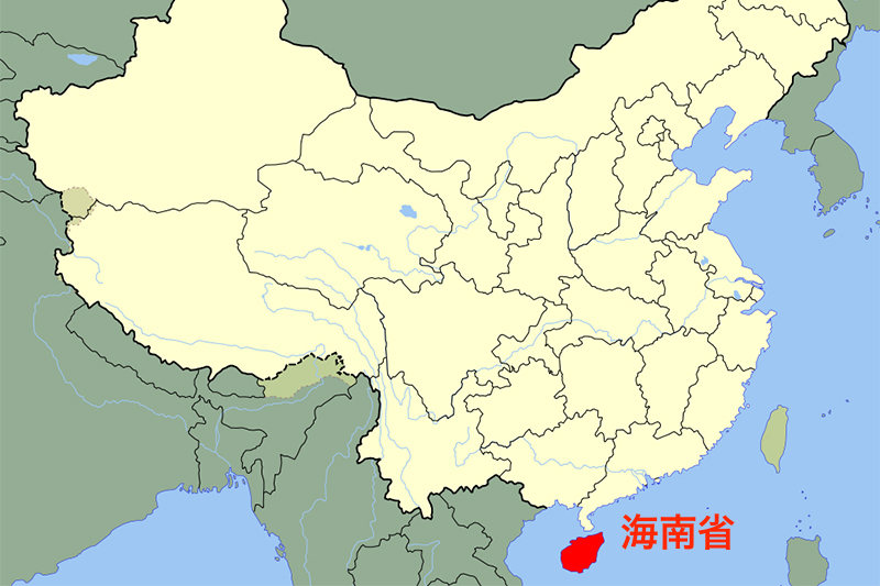 中国・海南省海口市で小学生１０人刺される 犯人自殺、２人重傷