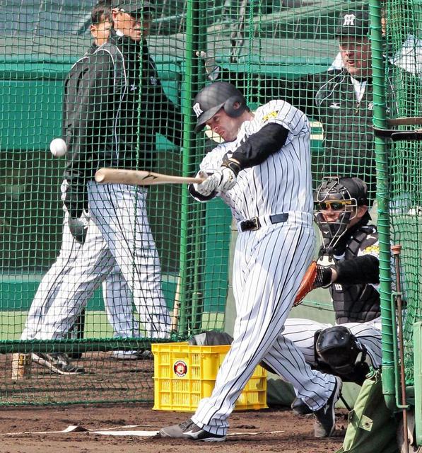 右脇腹痛ヘイグ開幕1軍メドは3・13 金本監督がチェック