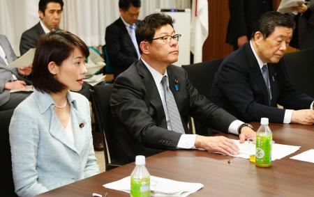 森林除染巡り 林道や広場など“里山”も対象に