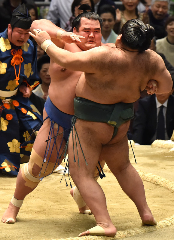 大相撲春場所:琴奨菊、最初の難関突破