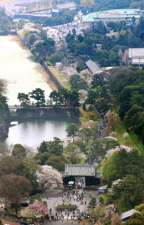 皇居乾通り、一般公開は２５〜３１日