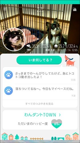 わんこも安心してお留守番--愛犬の安全と幸せを見守るIoTサービス「わんダント2」