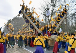 「ヨイサ、ヨイサ」巨木運ぶ 諏訪大社の御柱祭始まる
