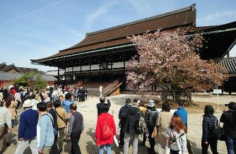 うららかな宮中の春 一般公開始まる