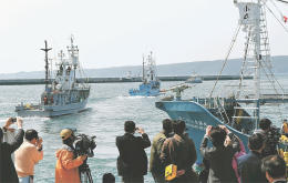 ＜調査捕鯨＞石巻・鮎川出港 上限５１頭