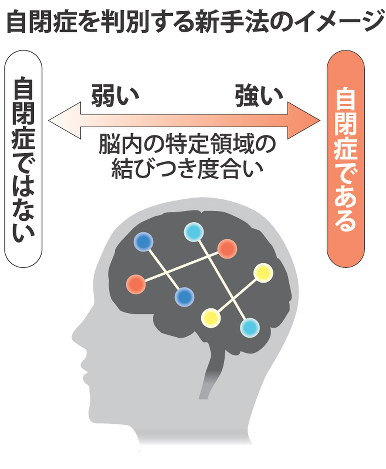 人工知能で自閉症判別、脳活動から高精度で解析 2016年04月15日 10時25分