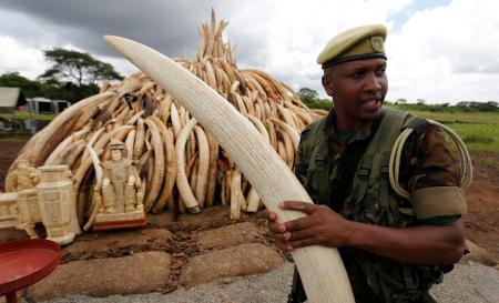 「反密猟サミット」開催＝象牙取引阻止訴え－ケニア