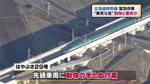 道新幹線が緊急停止 ２日までに２度 小動物はねた可能性