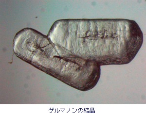 理研・京大、「ゲルマノン」を合成－ケトンの炭素を置き換え