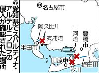 外来種ヒガタアシ、条例で栽培など初の規制へ