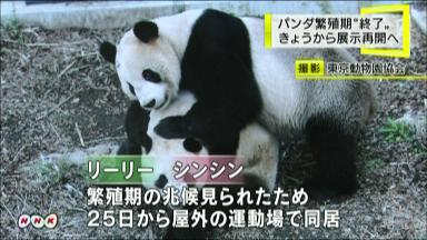 上野動物園 パンダの展示再開へ 3月28日 6時51分