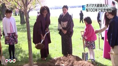 桜寄贈１００年：ミシェル米大統領夫人ら植樹 ワシントン