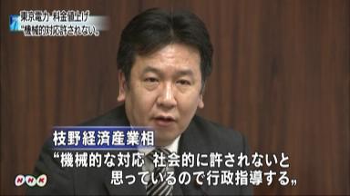 電気料金値上げ見直し、平行線 関東知事会と東電