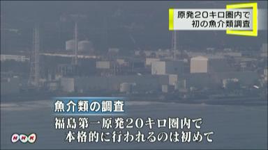 東電が魚介類を初調査 原発２０キロ圏、漁協が協力