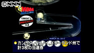 米 “史上最高賞金”宝くじの行方は 4月1日 14時34分
