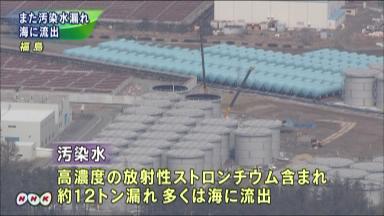 47NEWS ＞ 共同ニュース ＞ 汚染水１２トン海へ流出か ストロンチウム含む、福島第１原発