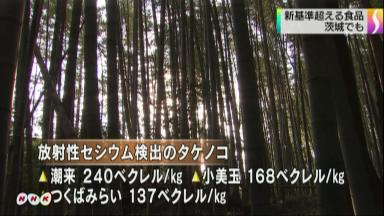 放射性セシウム:タケノコなど出荷停止