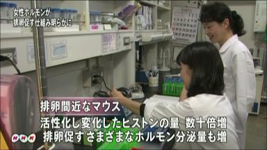 名大 排卵促すメカニズムを解明 4月10日 14時43分