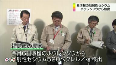 福島市産ホウレンソウ 県、出荷自粛要請