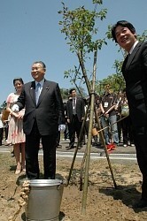 日台友好:大震災支援を感謝、台南市で「絆の桜」植樹