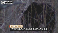 札幌の住宅街に出没のクマ駆除