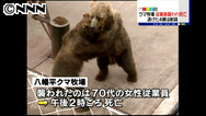 住宅街付近、クマを駆除 札幌南区