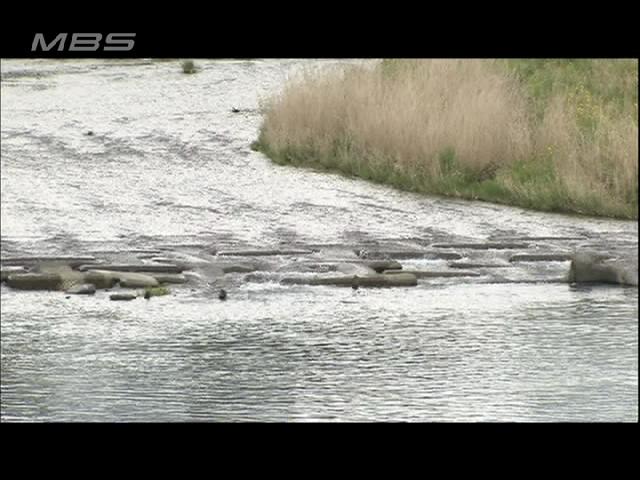 おぼれた子ら助けようとした男性死亡 大阪・茨木