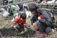 緑の足尾へ 植樹５０００本