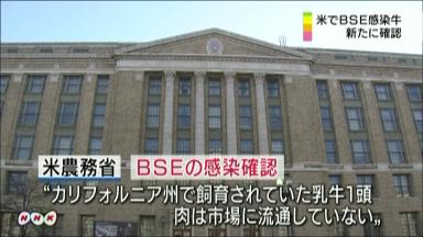 カリフォルニア州でＢＳＥ感染の乳牛見つかる 米で４例目