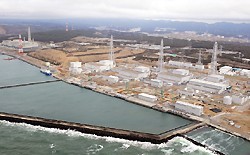 津波の痕跡、5カ所で確認＝柏崎刈羽原発の周辺―東電