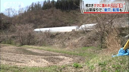 男性２人、岩手でそれぞれクマに襲われ大けが