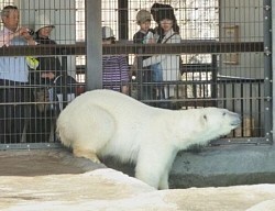 旭山動物園 夏季営業始まる