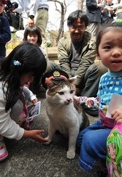 駅長猫が“定年退職”、後任に助役 旧片上鉄道吉ケ原駅