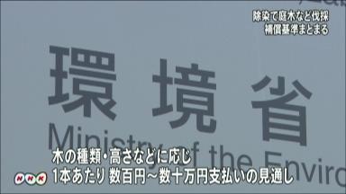 除染で庭木伐採、補償基準を公表 環境省