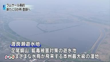 ラムサール条約候補地に中池見湿地 地元歓迎、保全へ第一歩 福井