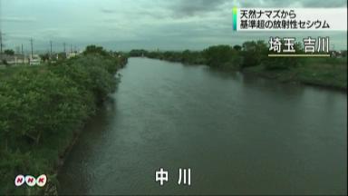 セシウム:天然ナマズから基準超検出 埼玉・吉川